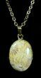 Million Year Old Fossil Coral Necklace #35771-1